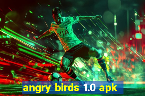 angry birds 1.0 apk